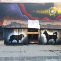 two decorated doghouses for the many street dogs